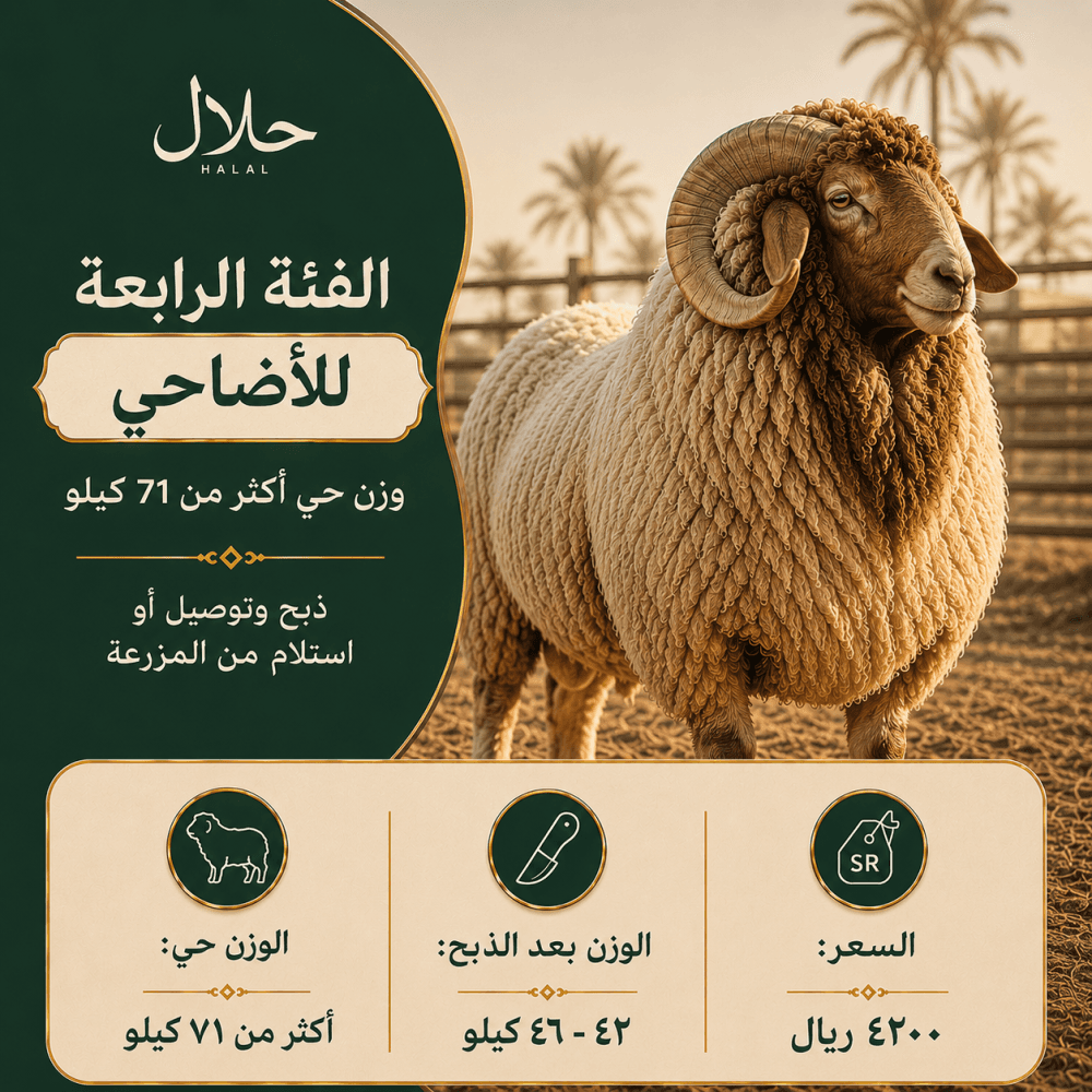 الفئة الرابعة للأضاحي – وزن حي أكثر من 71 كيلو | ذبح وتوصيل أو استلام من المزرعة